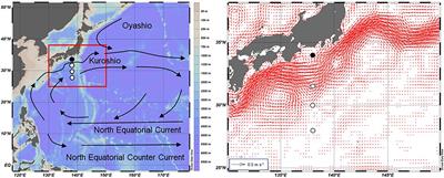 Temporal and regional variabilities in the attenuation of sinking particulate organic carbon in the Kuroshio region